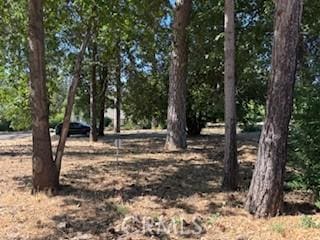 1615 Revere Ct, Paradise, CA 95969