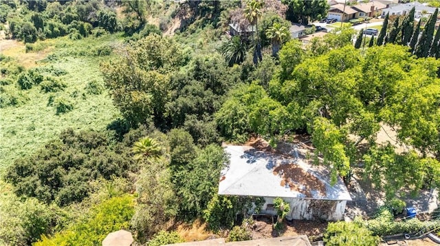 0 Muscatel Ave, Rosemead, CA 91770 - photo 8