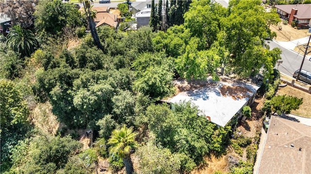 0 Muscatel Ave, Rosemead, CA 91770 - photo 9