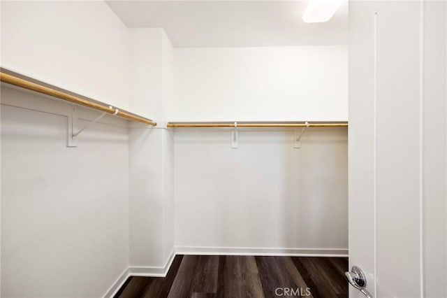 26 Prominence, Lake Forest, CA 92630 - spacious closet featuring dark wood-type flooring