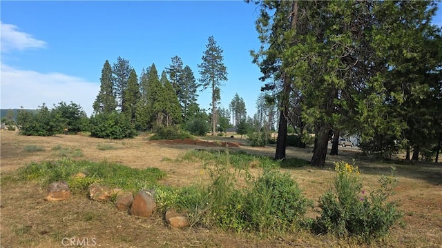 6540 Pentz Rd, Paradise, CA 95969