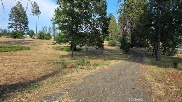6540 Pentz Rd, Paradise, CA 95969