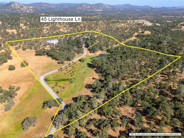 45 Lighthouse Ln, Bangor, CA 95901 - photo 4