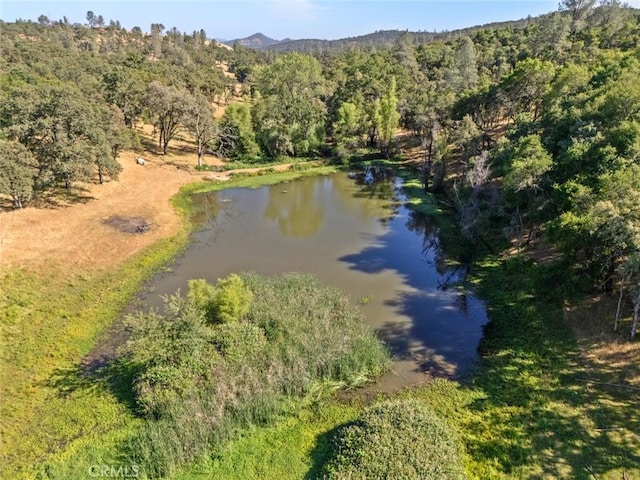 45 Lighthouse Ln, Bangor, CA 95901 - photo 48