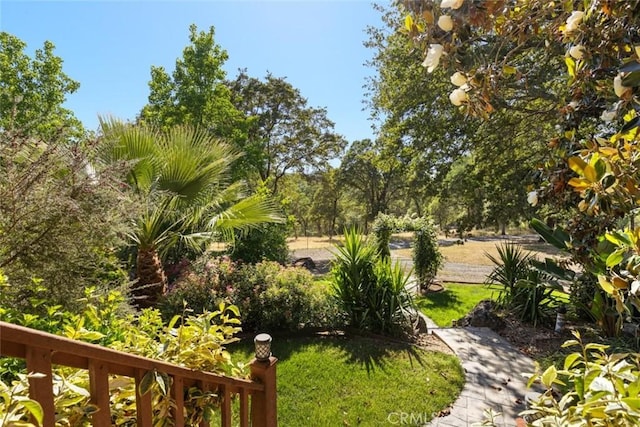 45 Lighthouse Ln, Bangor, CA 95901 - photo 35