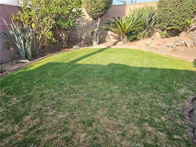 1617 W 125th St, Los Angeles, CA 90047 - view of yard