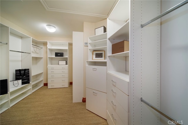 3908 Channel Pl, Newport Beach, CA 92663 - spacious closet featuring light carpet