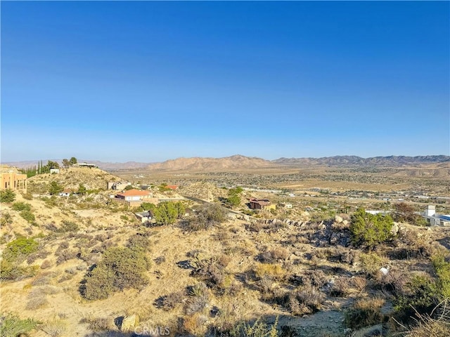 57466 Buena Suerte Rd, Yucca Valley, CA 92284 - photo 37