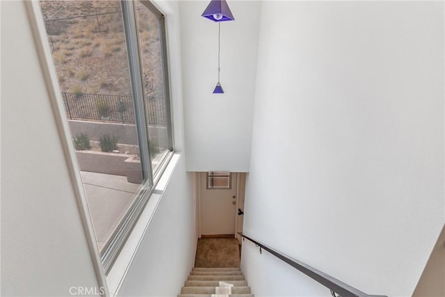 3029 Trudi Ln, Burbank, CA 91504 - photo 20