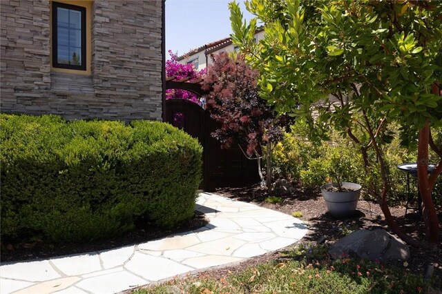 3032 Cortuna Dr, San Luis Obispo, CA 93401 - view of yard