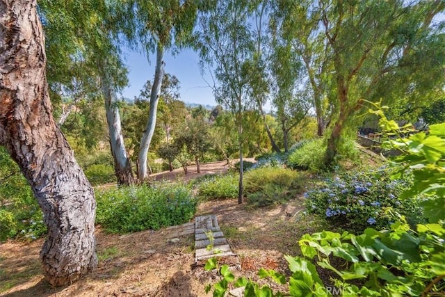 5709 Holly Ridge Dr, Camarillo, CA 93012 - view of yard