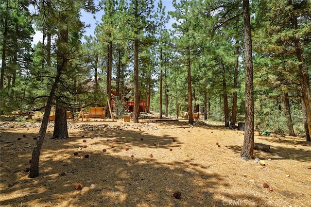 1947 Shady Ln, Big Bear City, CA 92314 - photo 49