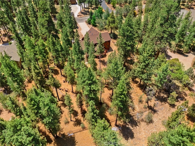1947 Shady Ln, Big Bear City, CA 92314 - photo 54