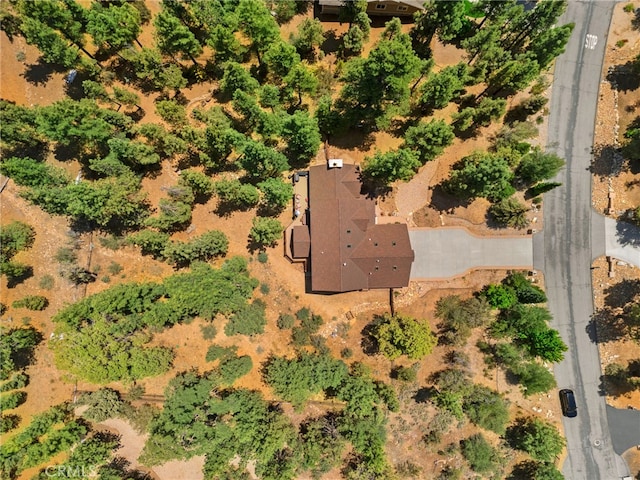 1947 Shady Ln, Big Bear City, CA 92314 - photo 55
