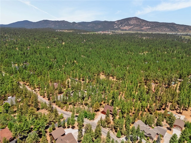 1947 Shady Ln, Big Bear City, CA 92314 - photo 56