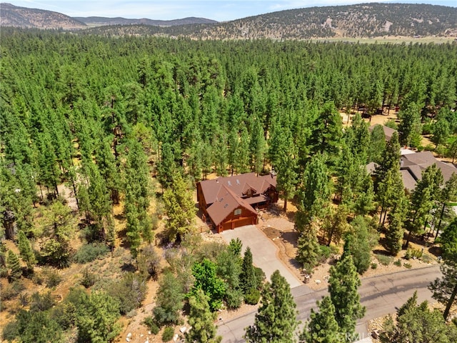 1947 Shady Ln, Big Bear City, CA 92314 - photo 52