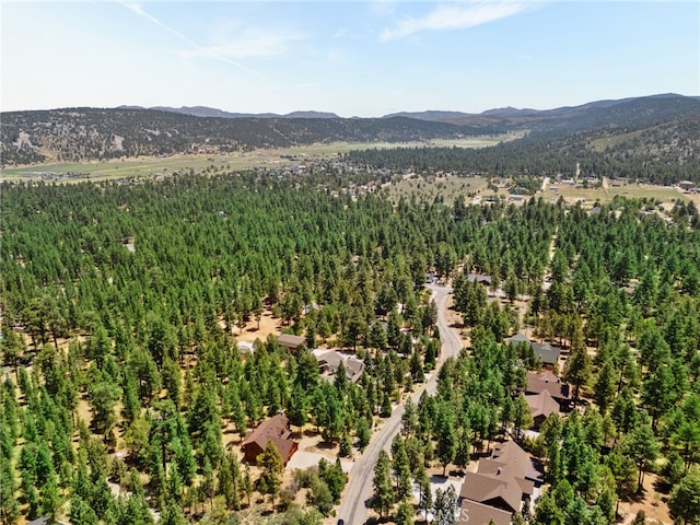 1947 Shady Ln, Big Bear City, CA 92314 - photo 57
