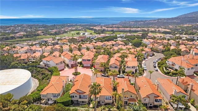 70 Saint Michael, Dana Point, CA 92629 - photo 46