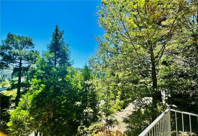 349 Golf Course Rd, Lake Arrowhead, CA 92352 - view of undeveloped land