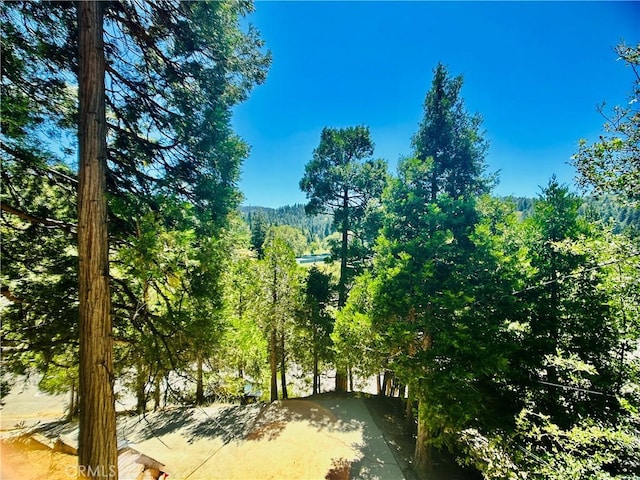 349 Golf Course Rd, Lake Arrowhead, CA 92352 - view of local wilderness