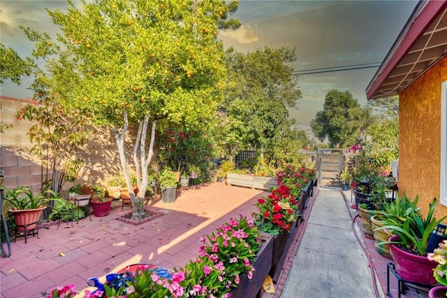 14901 Polk St, Sylmar, CA 91342 - photo 5