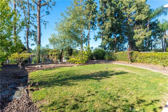 33 Edgebrook Dr, Phillips Ranch, CA 91766 - view of green lawn