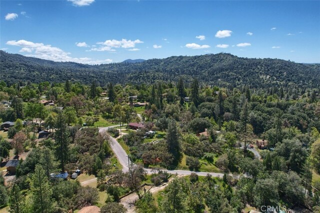 50986 Rd 632, Oakhurst, CA 93644 - photo 41