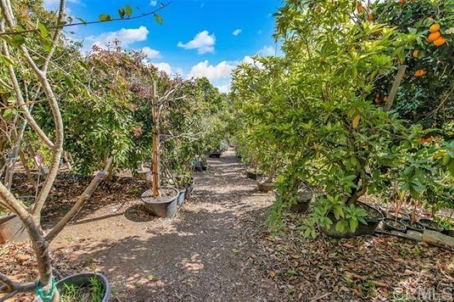 2081 Elevado Rd, Vista, CA 92084 - photo 43