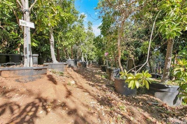2081 Elevado Rd, Vista, CA 92084 - photo 49