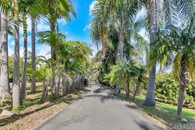 2081 Elevado Rd, Vista, CA 92084 - photo 41