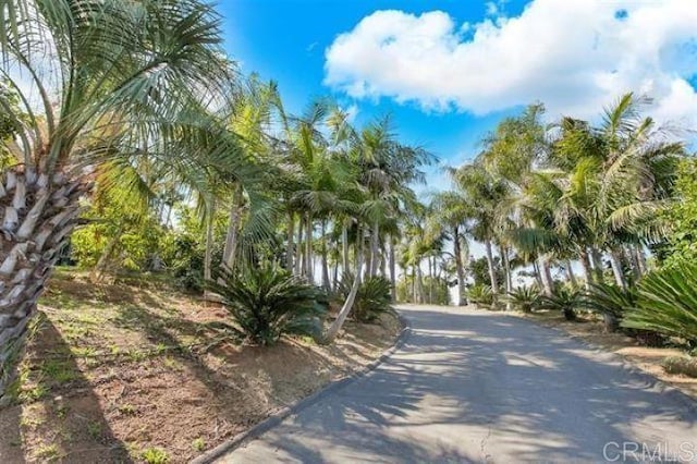 2081 Elevado Rd, Vista, CA 92084 - photo 27