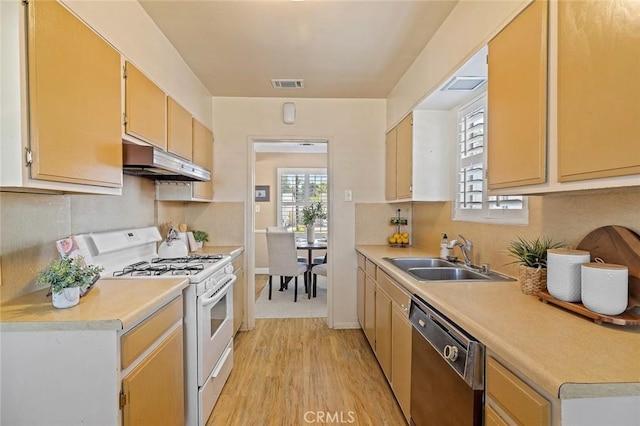 7327 Eglise Ave, Pico Rivera, CA 90660 - photo 16