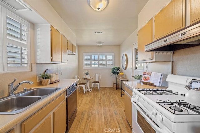7327 Eglise Ave, Pico Rivera, CA 90660 - photo 15
