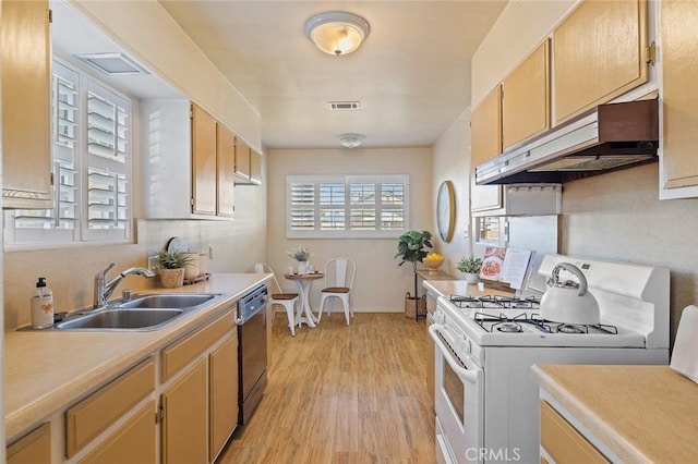 7327 Eglise Ave, Pico Rivera, CA 90660 - photo 14