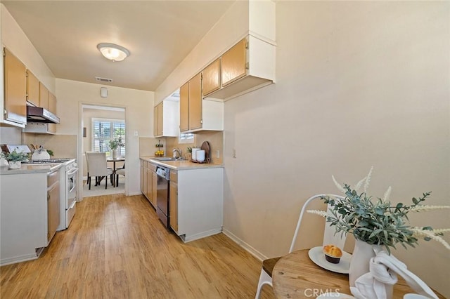 7327 Eglise Ave, Pico Rivera, CA 90660 - photo 20