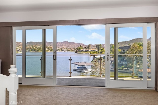 29743 Buggywhip Ct, Canyon Lake, CA 92587 - photo 61