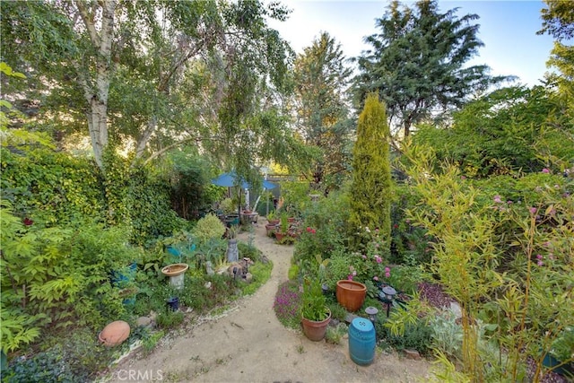 22650 I St, Santa Margarita, CA 93453 - photo 21