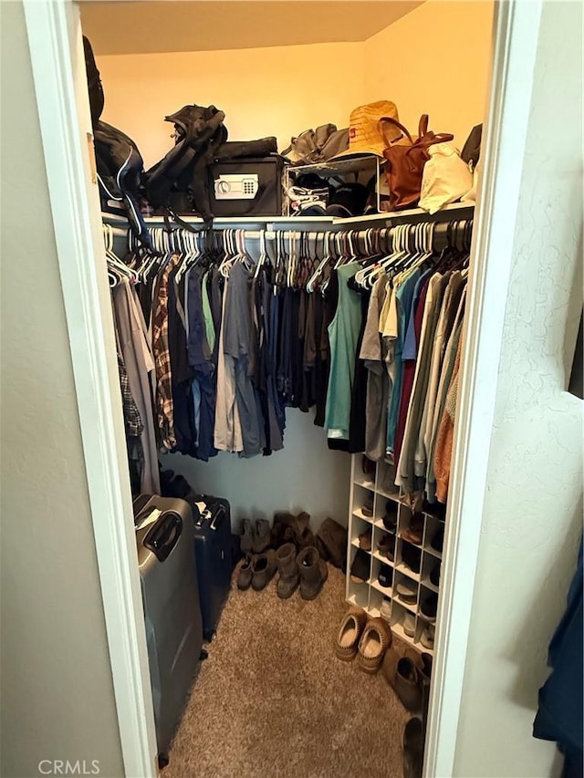 27505 Jasper Way, Castaic, CA 91384 - walk in closet with carpet flooring