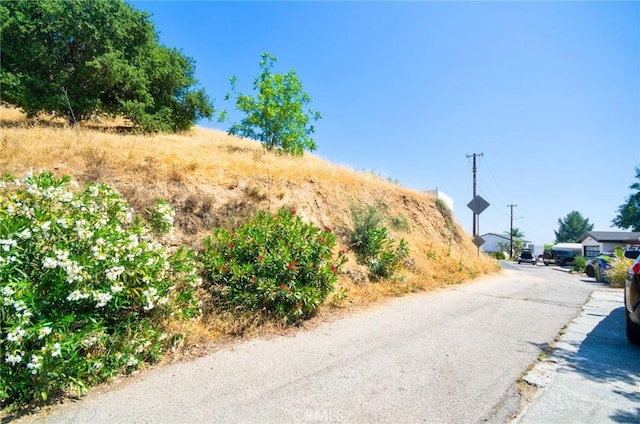 1942 N Phillips Way, Los Angeles, CA 90042 - photo 5