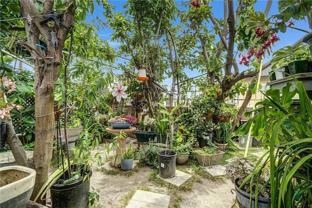 11847 Alabama St, Los Angeles, CA 90059 - view of yard