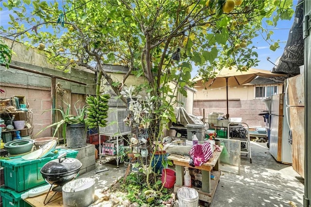 11847 Alabama St, Los Angeles, CA 90059 - fenced backyard with a patio area