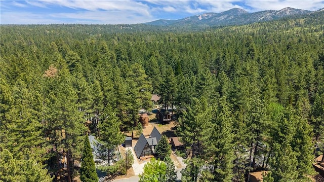 605 Ponderosa Dr, Big Bear Lake, CA 92315 - photo 26