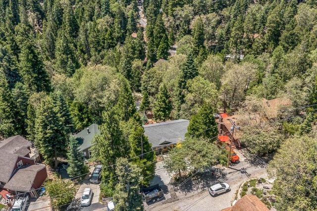 352 Cedarbrook Dr, Twin Peaks, CA 92391 - aerial view of a heavily wooded area