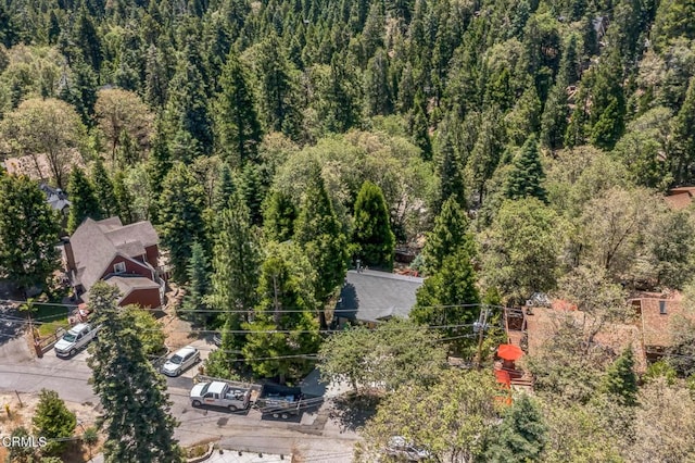 352 Cedarbrook Dr, Twin Peaks, CA 92391 - aerial view of a heavily wooded area