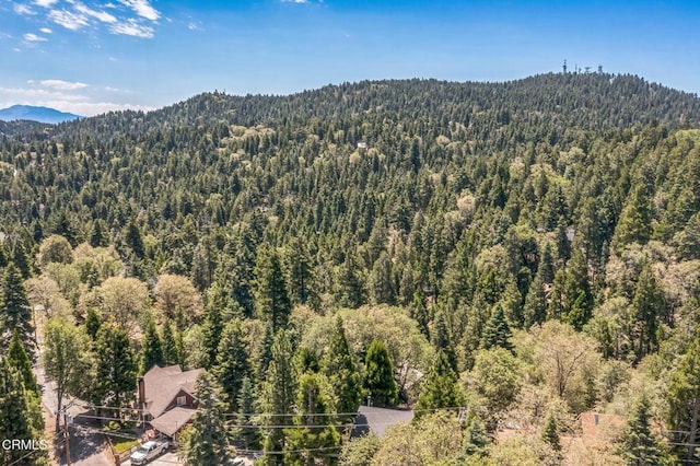 352 Cedarbrook Dr, Twin Peaks, CA 92391 - bird's eye view of a heavily wooded area