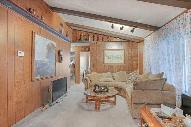 32303 Bilton Way, Wildomar, CA 92595 - living room with wood walls, carpet floors, and a textured ceiling