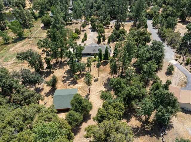 38090 Wortham Rd, Oakhurst, CA 93644 - photo 50