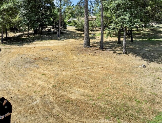38090 Wortham Rd, Oakhurst, CA 93644 - photo 51