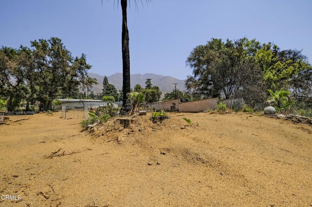 677 E Palm St, Altadena, CA 91001 - photo 9