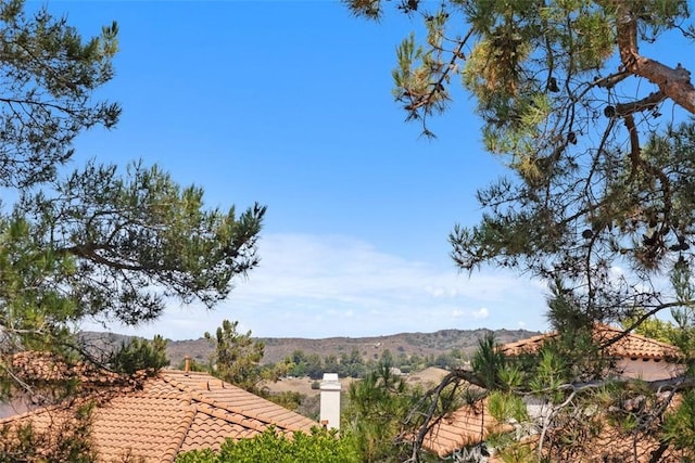 17 Yale Ct, Coto De Caza, CA 92679 - photo 33